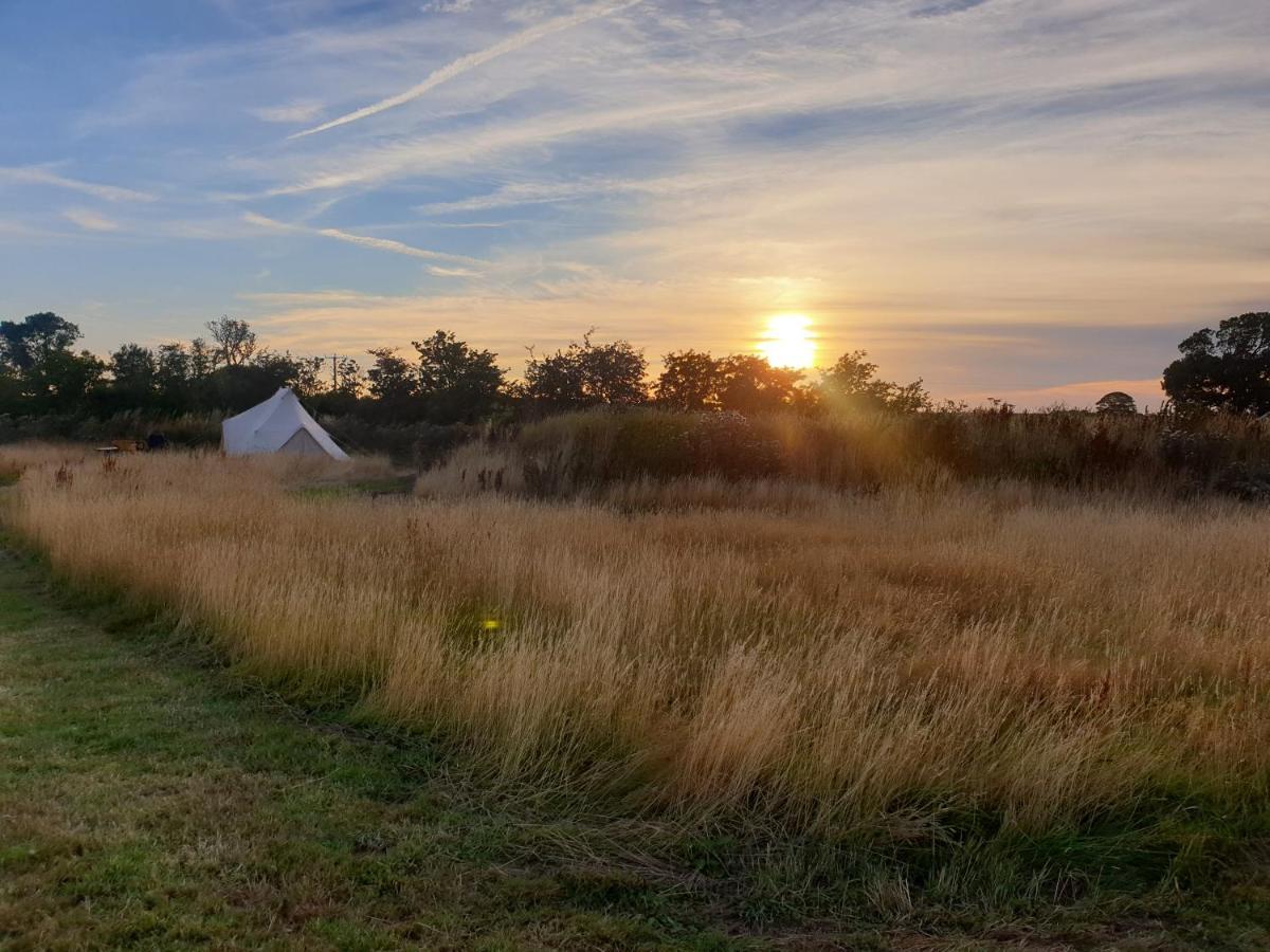 5M Xl Bell Tent With Log Burner Near Whitby Villa Saltburn-by-the-Sea Exterior photo